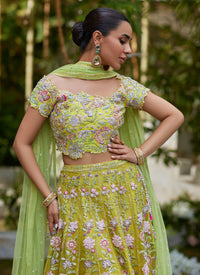 kiwi lengha choli