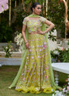 kiwi lengha choli