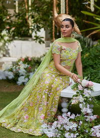 kiwi lengha choli