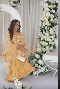 Golden biege net material qameez