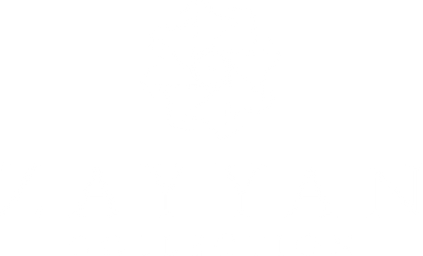 zayyan collection